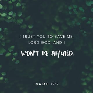 Isaiah 12:1-6 In That Day You Will Say: “I Will Praise You, Lord. Although  You Were Angry With Me, Your Anger Has Turned Away And You Have Comforted  Me. Surely God Is