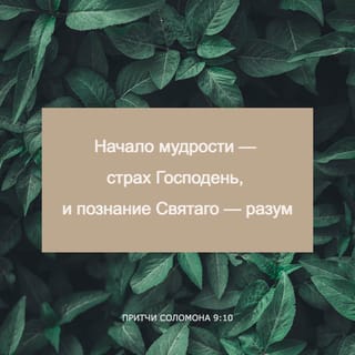 Притчи 9:1-12 НРП Новый Русский Перевод
