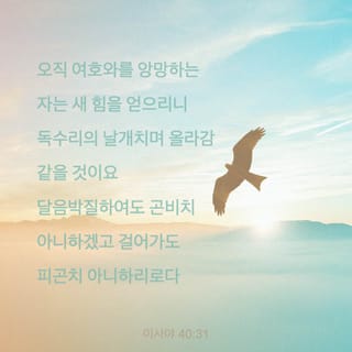 이사야 40:31 오직 여호와를 앙망하는 자는 새 힘을 얻으리니 독수리의 날개치며 올라감 같을 것이요 달음박질하여도 곤비치 아니하겠고 걸어가도 피곤치 아니하리로다 | 개역한글 (KRV) | 지금 성경 앱 다운로드 이사야 40:31 오직 여호와를 앙망하는 자는 새 힘을 얻으리니 독수리의 날개치며 올라감 같을 것이요 달음박질하여도 곤비치 아니하겠고 걸어가도 피곤치 아니하리로다 | 개역한글 (Krv) | 지금 성경 앱 다운로드