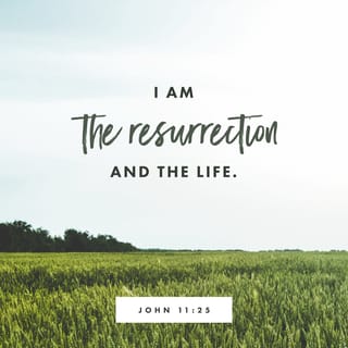 John 11:25-26 “You don't have to wait for the End. I am, right now,  Resurrection and Life. The one who believes in me, even though he or she  dies, will live. And