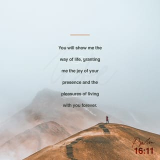 Psalms 16 11 You Make Known To Me The Path Of Life You Will Fill Me With Joy In Your Presence With Eternal Pleasures At Your Right Hand New International Version Niv