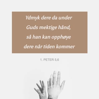 Ota yoqligida onam bilan jinsiy aloqa Porno talaba geografiyadan kredit olish uchun keldi.