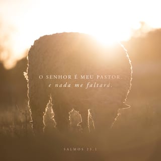 Salmos 23:1 O SENHOR é o meu pastor; nada me faltará.