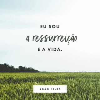 João 11:25-26 Então Jesus afirmou: — Eu sou a ressurreição e a vida. Quem  crê em mim, ainda que morra, viverá; e quem vive e crê em mim nunca m…