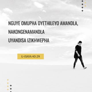 Faqat kuting, quyon bilan jinsiy aloqa