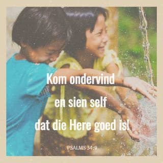 Psalms 34 8 14 Get Die Engel Van Die Here Trek N Laer Rondom Die Wat Hom Vrees En Red Hulle Uit Tet Smaak En Sien Dat Die Here Goed Is Welgeluksalig Is Die