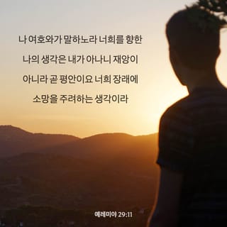 예레미야 29:11 나 여호와가 말하노라 너희를 향한 나의 생각은 내가 아나니 재앙이 아니라 곧 평안이요 너희 장래에 소망을 주려하는  생각이라 | 개역한글 (Krv) | 지금 성경 앱 다운로드