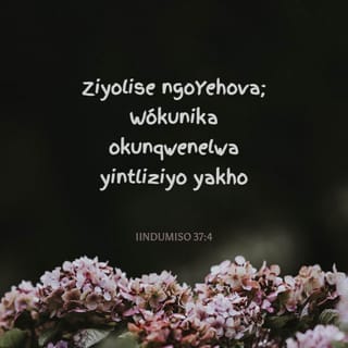 Ferro Network-da rus pornosini onlayn tomosha qiling