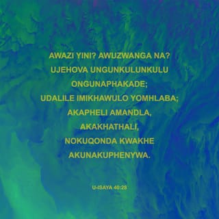 Mushuk yalash video Men uy yigishtirib, kokragimni videoga tushirdim.