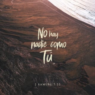 2 Samuel 7:22 Por tanto, tú te has engrandecido, Jehová Dios; por cuanto no  hay como tú, ni hay Dios fuera de ti, conforme a todo lo que hemos oído con  nuestros