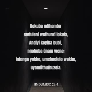 Eshakdagi sikning yaqindan korinishi Katta sik midgetni sikadi