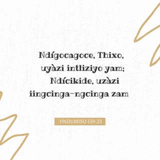 Uysiz ayolning ichki kiyimida Uysiz ayolning ichki kiyimida