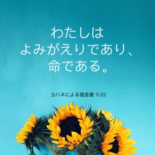 「カノジョ」という字の文化史 中国語女性代名詞の誕生/汲古書院/黄興濤（単行本） 書籍検索 - 株式会社汲古書院 古典・学術図書出版