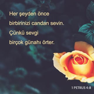 Daroga on eldarado sex multfilm