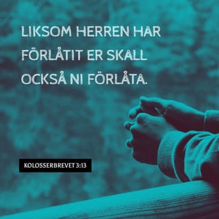 Mushukning yaqindan 50 ta fotosurati