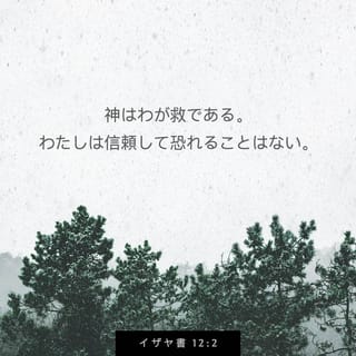 イザヤ書 12:2 見よ、わたしを救われる神。 わたしは信頼して、恐れ ...