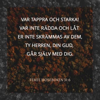 Porno videolar, bu erda biz odamlarning siyishini kuzatamiz