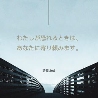 イーショップ教文館： カルヴァン 旧約聖書註解 詩篇Ⅲ（オン