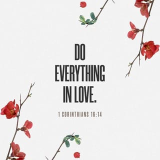 1 Corinthians 16:14 Let all that you do be done in love. | English Standard  Version 2016 (ESV) | Download The Bible App Now