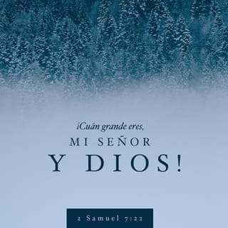 2 Samuel 7:22 Por tanto, tú te has engrandecido, Jehová Dios; por cuanto no  hay como tú, ni hay Dios fuera de ti, conforme a todo lo que hemos oído con  nuestros