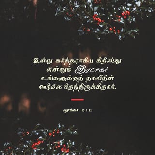 ல க க 2 8 20 அப ப ழ த அந த ந ட ட ல ம ய ப பர கள வயல வ ள ய ல தங க இர த த ர ய ல தங கள மந த ய க க த த க க ண ட ர ந த ர கள