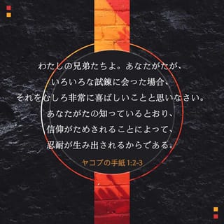 オンデマンド版 現代聖書注解 ペトロの手紙1、2 ヤコブの手紙