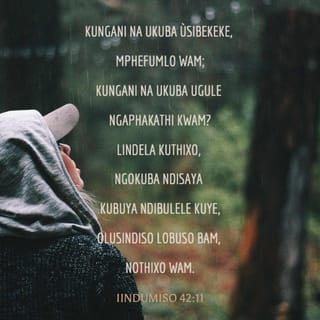 Jinsiy aloqa va dadamning qizi film Kichkina eshakda katta sik