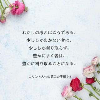 聖書　掛軸　Ⅱ コリント 4:7（新改訳） コリント人への第二の手紙 9:6 わたしの考えはこうである。少し