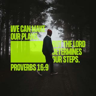 Proverbs 16:9 A man's mind plans his way [as he journeys through life], But  the LORD directs his steps and establishes them. | Amplified Bible (AMP) |  Download The Bible App Now