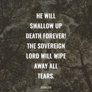 Isaiah 25:8 he will swallow up death forever. The Sovereign LORD ...