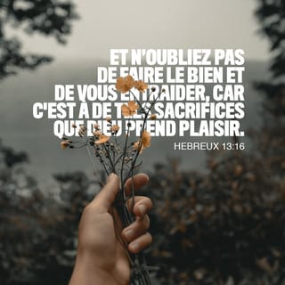 Hebreux 13 15 16 Par Jesus Offrons Sans Cesse A Dieu Un Sacrifice De Louange C Est A Dire Des Chants Qui Le Reconnaissent Comme Seigneur N Oubliez Pas De Faire Le Bien Et De Partager Ce Que