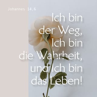 Johannes 14 6 Jesus Antwortete Ich Bin Der Weg Ich Bin Die Wahrheit Und Ich Bin Das Leben Ohne Mich Kann Niemand Zum Vater Kommen Hoffnung Fur Alle Hfa Lade Die