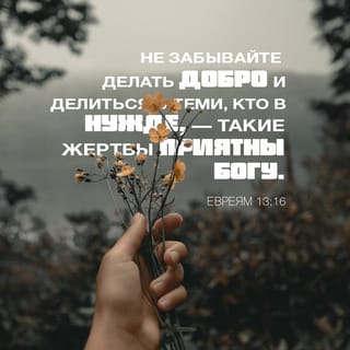 Пизда порносынан ақ сұйықтық