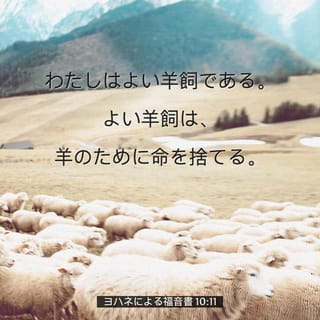 ヨハネによる福音書 10 11 わたしはよい羊飼である よい羊飼は 羊のために命を捨てる Japanese 聖書 口語訳 口語訳 聖書 アプリを今すぐダウンロード