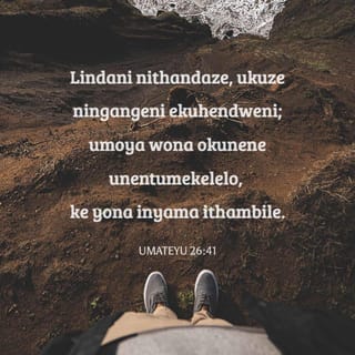 Qora ayollar eshak pornosini yalaydilar