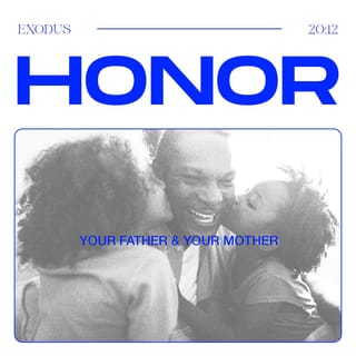 Exodus 20 12 Honor Your Father And Mother Then You Will Live A Long Full Life In The Land The Lord Your God Is Giving You New Living Translation Nlt Download