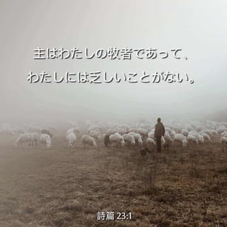 詩編 23 1 主は羊飼い わたしには何も欠けることがない Seisho Shinkyoudoyaku 聖書 新共同訳 新共同訳 聖書 アプリを今すぐダウンロード