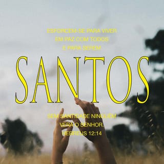 Versículo Bíblico do dia | YouVersion