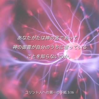 コリントの信徒への手紙一 3 16 あなたがたは 自分が神の神殿であり 神の霊が自分たちの内に住んでいることを知らないのですか Seisho Shinkyoudoyaku 聖書 新共同訳 新共同訳 Download The Bible App Now