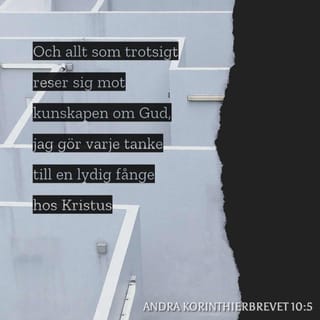 Elita video bilan jinsiy aloqa