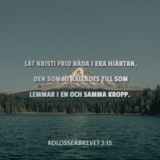 Jinsiy aloqa va Ulan-Ude