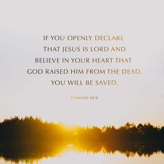 Romans 10 9 10 That If You Confess With Your Mouth The Lord Jesus And Believe In Your Heart That God Has Raised Him From The Dead You Will Be Saved For With The