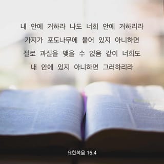 요한복음 15:4-5 내 안에 거하라 나도 너희 안에 거하리라 가지가 포도나무에 붙어 있지 아니하면 절로 과실을 맺을 수 없음 같이  너희도 내 안에 있지 아니하면 그러하리라 나는 포도나무요 너희는 가지니 저가 내