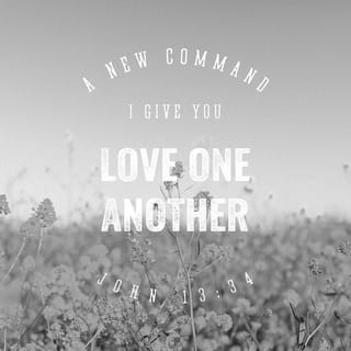 Bible Reading Love One Another
