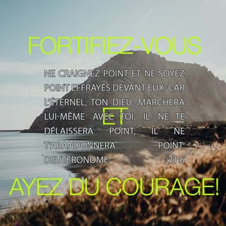 Deuteronome 31 6 8 Fortifiez Vous Et Prenez Courage N Ayez Pas Peur Et Ne Soyez Pas Effrayes Devant Eux Car L Eternel Ton Dieu Marchera Lui Meme Avec Toi Il Ne Te Delaissera Pas Il Ne T Abandonnera