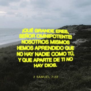 2 Samuel 7:22 Por tanto, tú te has engrandecido, Jehová Dios; por cuanto no  hay como tú, ni hay Dios fuera de ti, conforme a todo lo que hemos oído con  nuestros