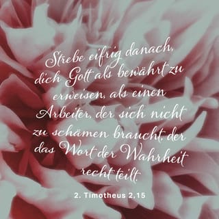 2 Timotheus 2 15 Befleissige Dich Gott Dich Zu Erzeigen Als Einen Rechtschaffenen Und Unstraflichen Arbeiter Der Da Recht Teile Das Wort Der Wahrheit Lutherbibel 1912 Delut Download The Bible App Now