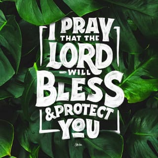 Numbers 6:24-26 'May The Lord Bless You And Protect You. May The Lord Smile  On You And Be Gracious To You. May The Lord Show You His Favor And Give You  His