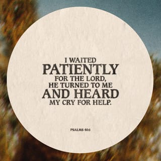Psalms 40:1 I waited patiently for the LORD; he turned to me and heard my  cry. | New International Version (NIV) | Download The Bible App Now