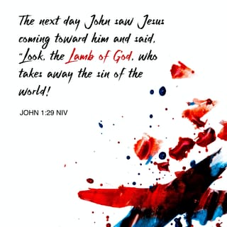 John 1:29 KJVAE King James Version, American Edition